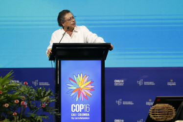 El presidente Gustavo Petro hace unas semanas en la COP16.