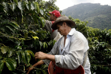 La libra de café arábica cotizaba en Nueva York 3,2 dólares en la mañana de este 27 de noviembre.