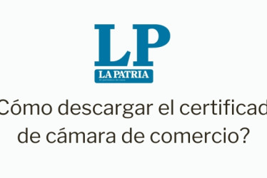 ¿Cómo obtener el certificado de cámara de comercio? Todo lo que debe saber