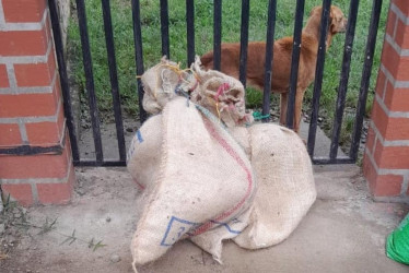 Los costales donde dejaron abandonadas a las dos perritas en Anserma (Caldas). 