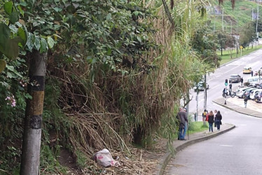 Los residentes del sector, en la zona baja del barrio La Rambla de Manizales, denuncian arbustos y la maleza en la vía que conduce hacia la avenida Kevin Ángel.