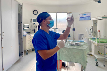 Toma de muestras de placentas en el área de Ginecoobstetricia del Hospital Universitario de Caldas.