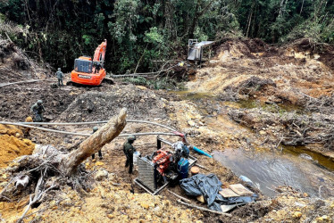 Las afectaciones ambientales en las zonas intervenidas son evidentes.