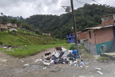 Los días de recolección de basura en el barrio Samaria son el miércoles y sábado de 10:00 a.m. a 2:00 p.m.