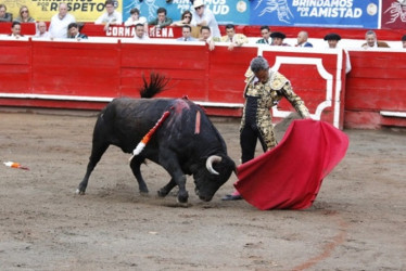 La Plaza de Toros de Manizales recibirá del 5 al 11 de enero su tradicional temporada taurina.