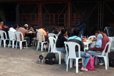 Desplazados por la violencia en el Catatumbo se reúnen en el estadio General Santander este martes, en Cúcuta (Colombia). 