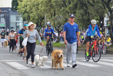 La Avenida Santander de Manizales, el espacio donde confluyen los manizaleños para hacer ejercicio los domingos.