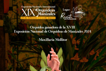 XIX Exposición Nacional e Internacional de Orquídeas de Manizales