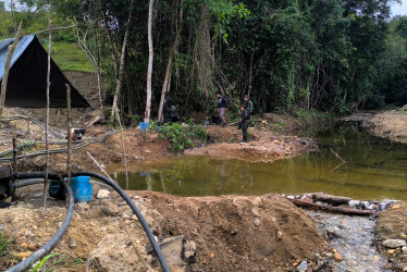 Los delincuentes afectaron una amplia zona de bosque en Norcasia.