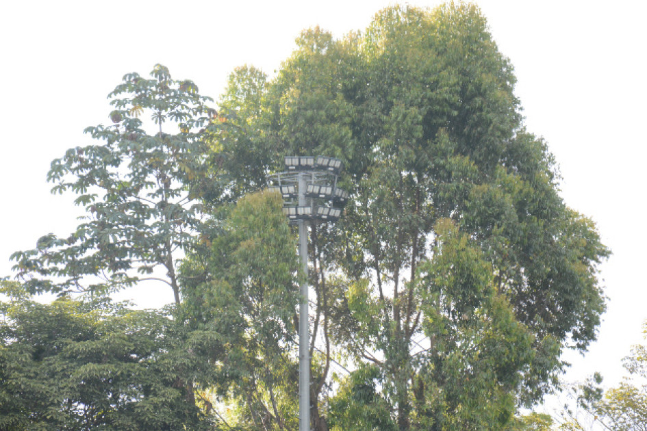 Árboles crecidos hacen que la cancha de Aranjuez pierda visibilidad