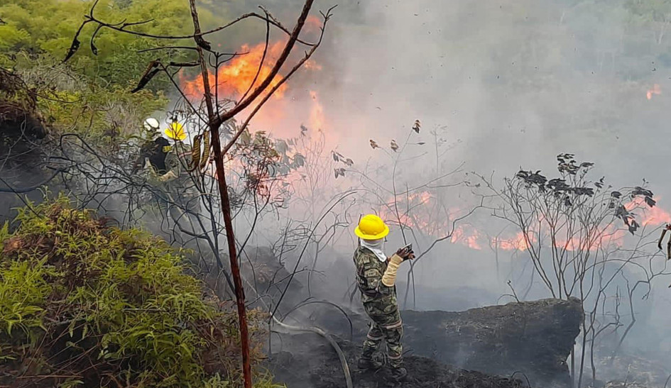 Incendios forestales activos en Colombia ya son 31 afectan a 9