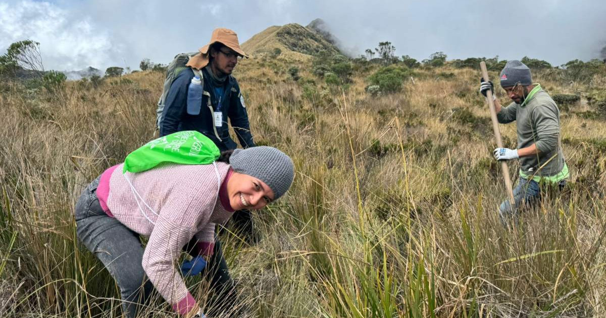 Sena Caldas volunteers sow life one kilometer from the Nevado del Ruiz Volcano